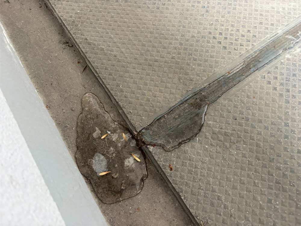 ドレンテスト②