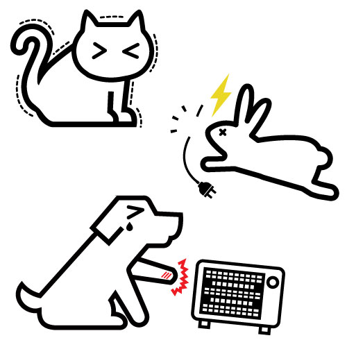 ペットのための空調時の注意